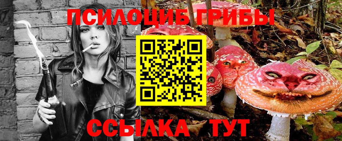 Псилоцибиновые грибы прущие грибы Домодедово